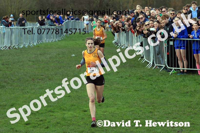 Intermediate Girls 2024 English Schools Cross Country Champs., Pontefract, March 16th.  Photo: David T. Hewitson/Sports for All Pics